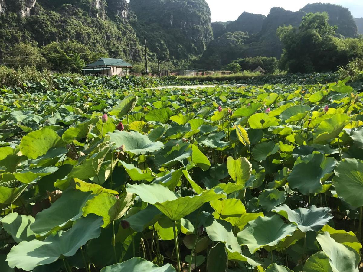 ホテル Trang An Lim Garden Xuan Son エクステリア 写真